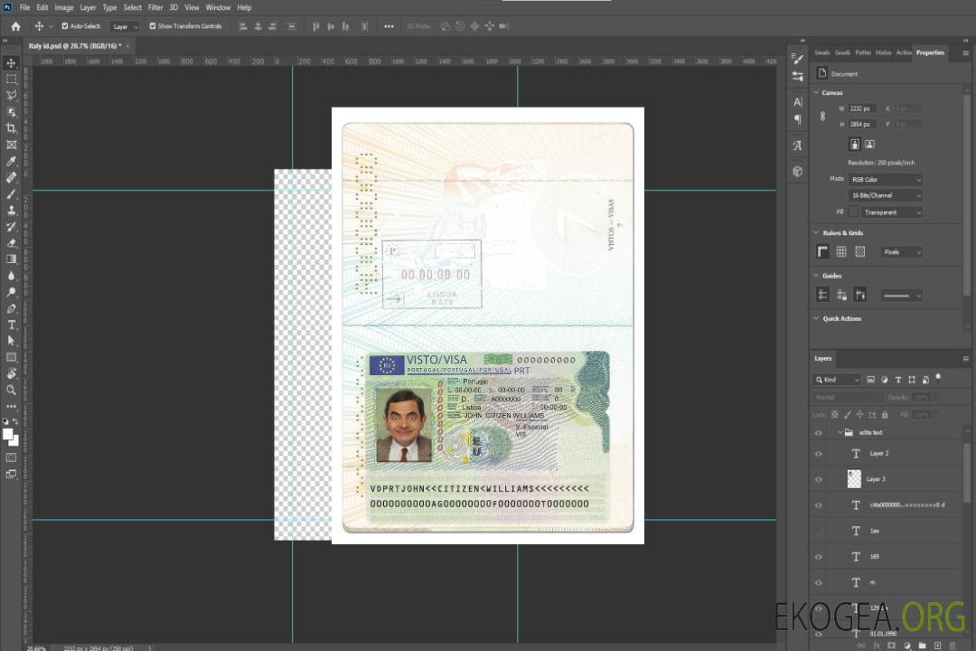 Carte Visa Portugal template Carte Visa Portugal template